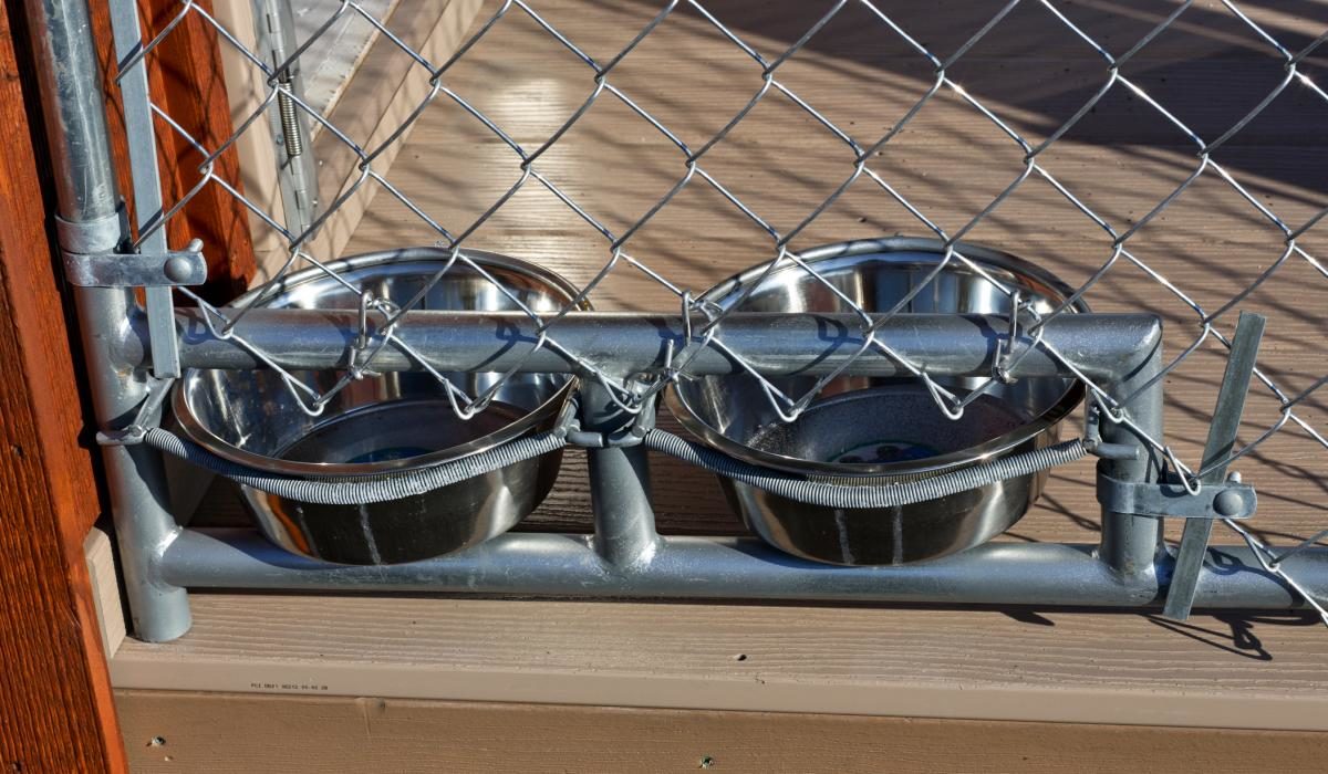 Kennels for Dogs Pamper Your Dog with This Kennel