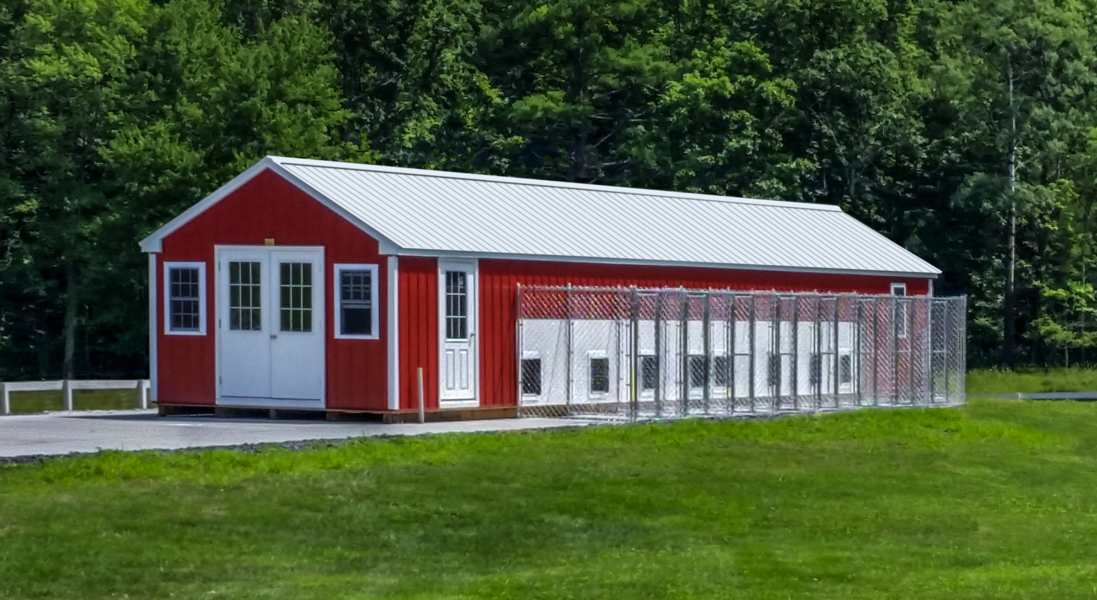 dog kennels for shelters 12x50 large dog kennel