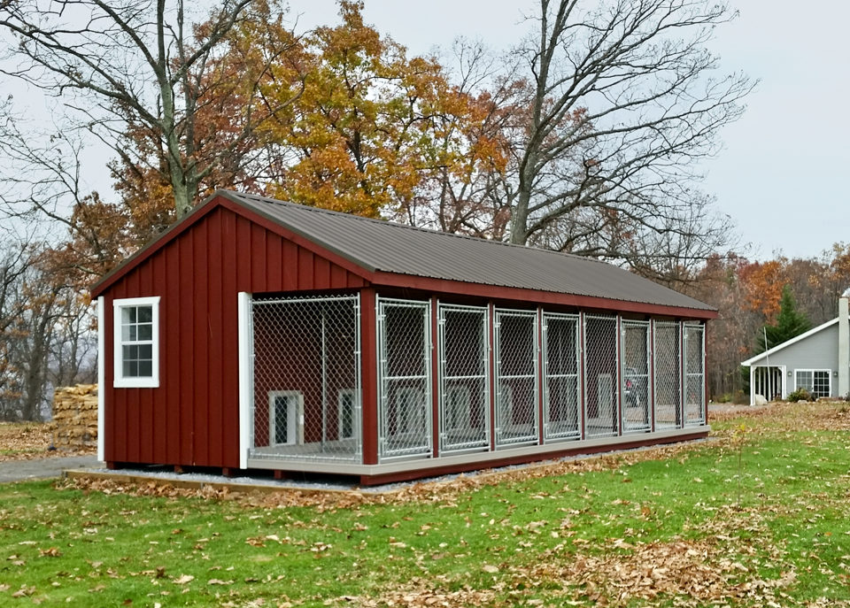 dog kennels for trainers 14x32 large dog kennel (1)