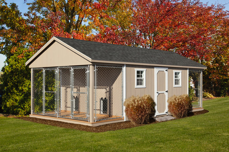 dog kennels for vets 12x24 trad