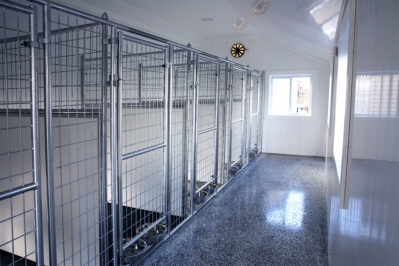 10x28 dog kennel interior