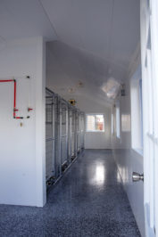 10x28 dog kennel interior