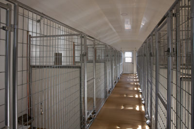 24x60-dog-kennel-interior