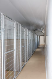 14x54-dog-kennel-interior