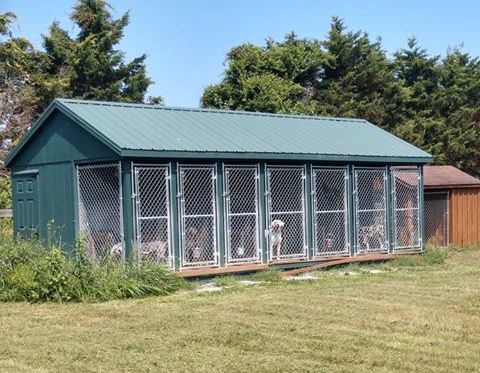 dog kennel in new jersey