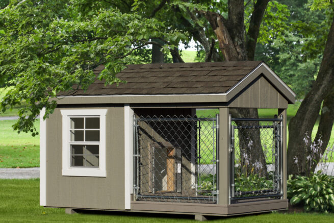 choose a kennel for your dog