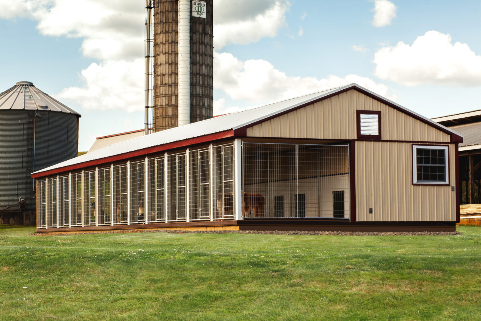 20x60 dog kennel