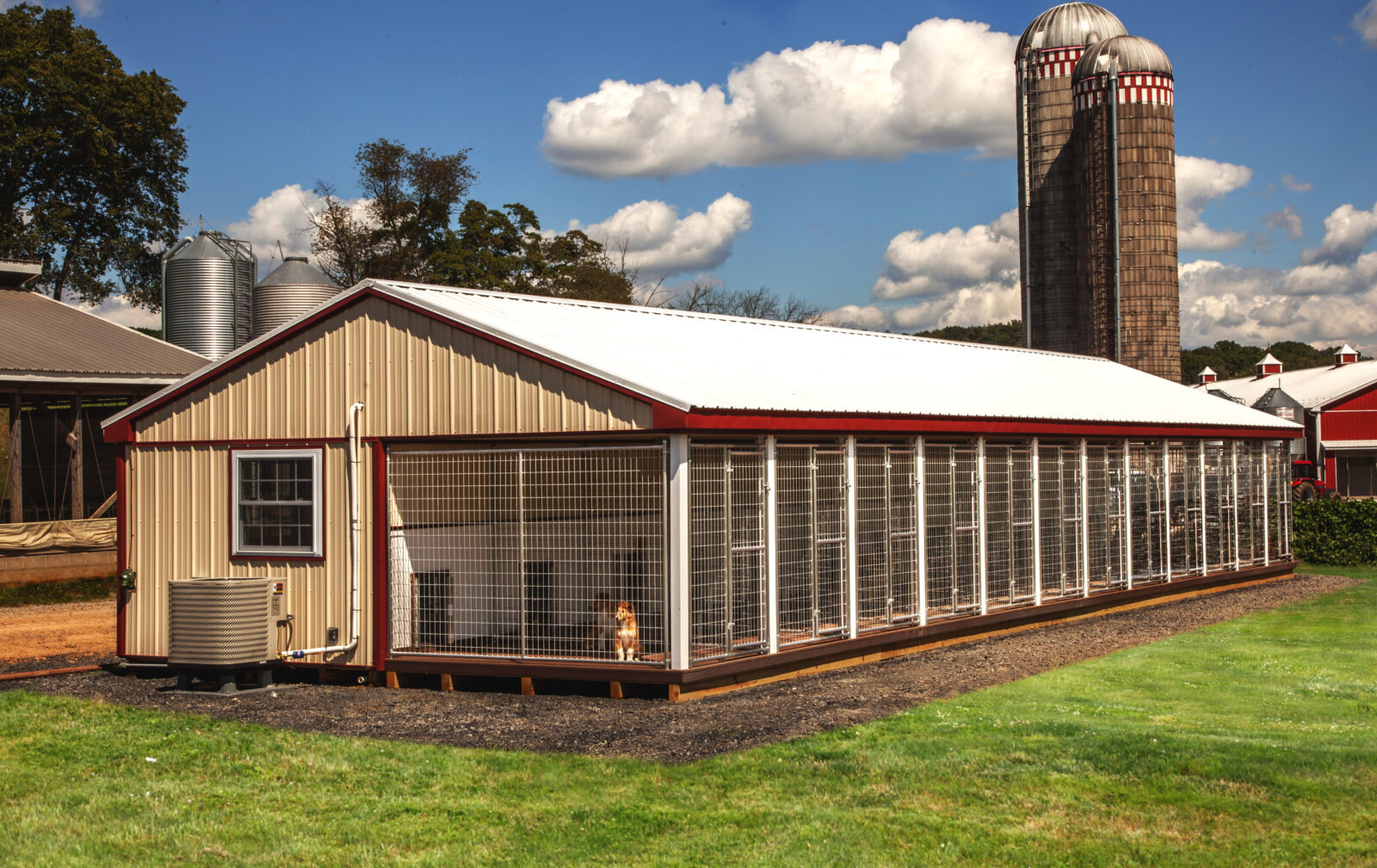 dog kennels for boarding sale