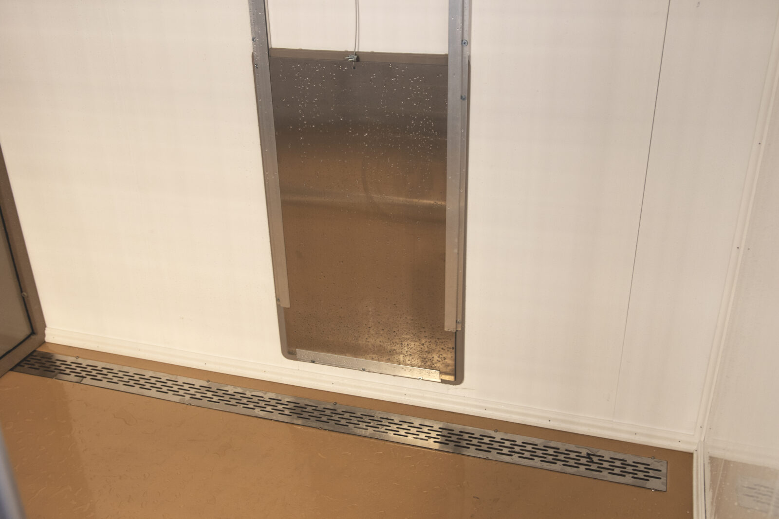 how to cleaning a dog kennel