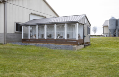 14x24 dog kennel front