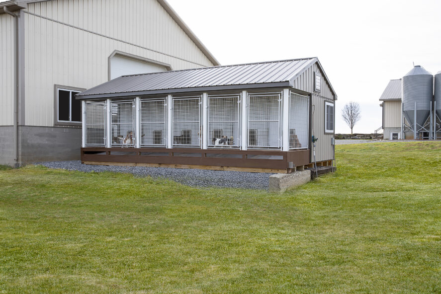 Commercial 14x24 Dog Kennel The Dog Kennel Collection