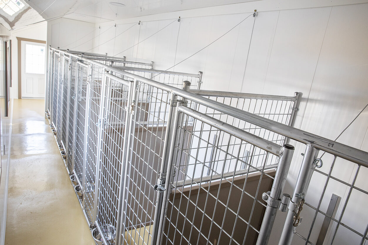 Commercial 12x32 Dog Kennel The Dog Kennel Collection
