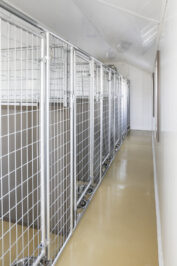 12x32 dog kennel with 6run interior2